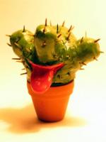 Kabarett Kaktus