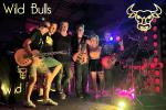 WILD BULLS - Rockmusik