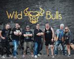 WILD BULLS - Rockmusik